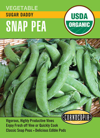 Visuel officiel de Cornucopia associé aux semences de Pois croquant ‘Sugar Daddy’, référence CS515. Cette référence propose un pois à gousse comestible nommé Sugar Daddy. Les gousses se récoltent encore tendres pour profiter de leur texture croquante. Cette image accompagne la fiche de cette sélection et permet de repérer le produit correspondant dans le catalogue de semences.