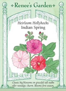 Visuel officiel de Renee's Garden associé aux semences de Roses trémières en mélange Indian Spring, référence RN5163. Ce mélange donne surtout des fleurs simples, roses, saumonées, blanches ou rose foncé. Les fleurs s’ouvrent progressivement sur de hautes hampes. Le semencier le propose pour les jardins champêtres et l’arrière des plates-bandes. Les couleurs varient entre les plants issus du semis.