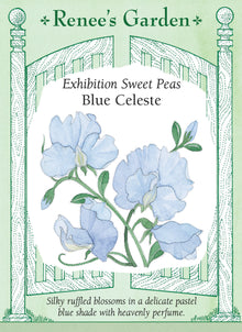 Visuel officiel de Renee's Garden associé aux semences de Pois de senteur ‘Blue Celeste’, référence RN5168. Les fleurs bleu pâle possèdent des pétales ondulés et un parfum marqué. Elles sont généralement groupées par quatre ou cinq sur une tige. Leur couleur douce convient aux bouquets pastel et aux supports fleuris du jardin.