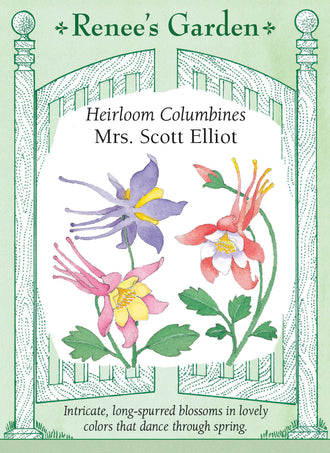 Visuel officiel de Renee's Garden associé aux semences d’ancolies en mélange Mrs. Scott Elliott, référence RN5174. Ce mélange d’ancolies porte des fleurs à longs éperons, associant le blanc à différentes teintes de rose, jaune, lavande, bleu pâle ou bordeaux. Les tiges florales dominent un feuillage découpé. Le semencier le propose pour la floraison printanière. Les couleurs varient entre les plants issus du semis.
