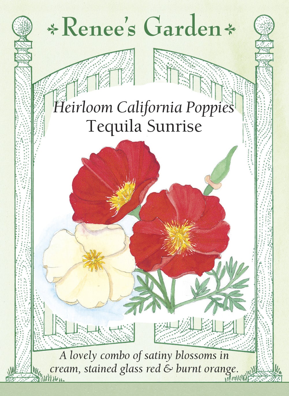 Visuel officiel de Renee's Garden associé aux semences de Pavots de Californie en mélange Tequila Sunrise, référence RN5175. Ce mélange associe deux couleurs de fleurs : le crème tendre et le rouge lumineux. Les premières fleurs crème sont rejointes par les rouges. Le feuillage gris-vert découpé accompagne des corolles satinées qui conviennent aux massifs et aux petites compositions florales.