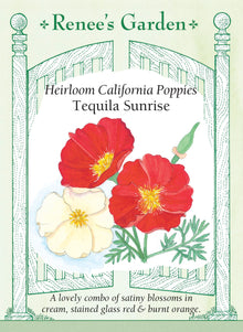 Visuel officiel de Renee's Garden associé aux semences de Pavots de Californie en mélange Tequila Sunrise, référence RN5175. Ce mélange associe deux couleurs de fleurs : le crème tendre et le rouge lumineux. Les premières fleurs crème sont rejointes par les rouges. Le feuillage gris-vert découpé accompagne des corolles satinées qui conviennent aux massifs et aux petites compositions florales.