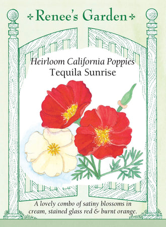 Visuel officiel de Renee's Garden associé aux semences de Pavots de Californie en mélange Tequila Sunrise, référence RN5175. Ce mélange associe deux couleurs de fleurs : le crème tendre et le rouge lumineux. Les premières fleurs crème sont rejointes par les rouges. Le feuillage gris-vert découpé accompagne des corolles satinées qui conviennent aux massifs et aux petites compositions florales.