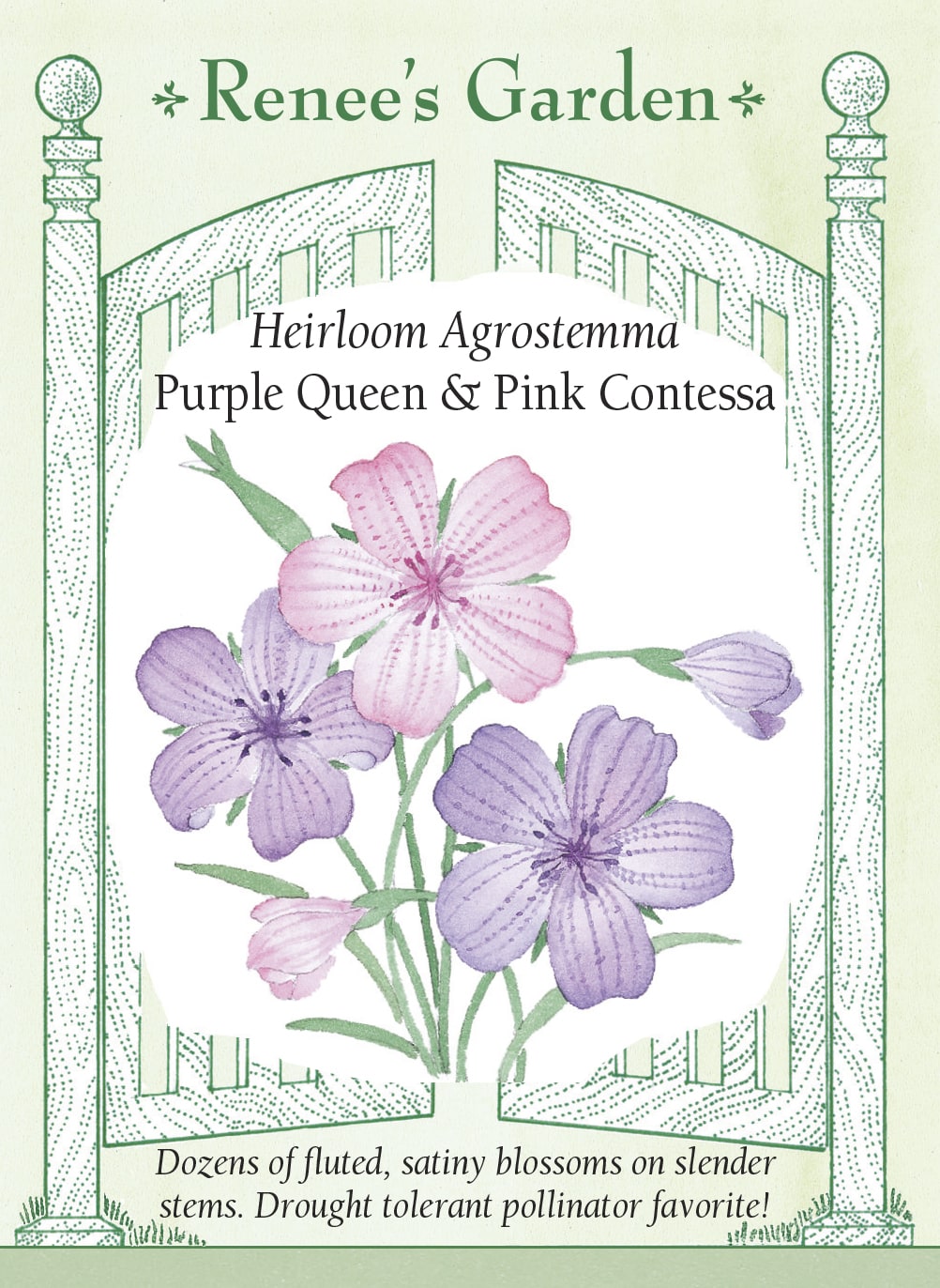 Visuel officiel de Renee's Garden associé aux semences de Nielles en mélange Pink et Purple, référence RN5179. Ce mélange associe ‘Purple Queen’, rose lavande, et ‘Pink Contessa’, rose pâle. Les fleurs satinées se développent sur de longues tiges, au-dessus d’un feuillage fin. Le semencier les propose pour les jardins champêtres et les bouquets. Les deux composantes conservent leurs différences de couleur.