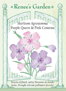 Visuel officiel de Renee's Garden associé aux semences de Nielles en mélange Pink et Purple, référence RN5179. Ce mélange associe ‘Purple Queen’, rose lavande, et ‘Pink Contessa’, rose pâle. Les fleurs satinées se développent sur de longues tiges, au-dessus d’un feuillage fin. Le semencier les propose pour les jardins champêtres et les bouquets. Les deux composantes conservent leurs différences de couleur.