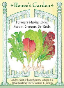 Visuel officiel de Renee's Garden pour les semences « Laitues en mélange Farmer’s Market », référence RN5183. Quatre laitues composent ce mélange à parts égales : ‘Little Gem’, ‘Tango’, ‘Outredgeous’ et ‘Cimarron’. Il réunit des feuilles vert lime frisées, des petites romaines et des feuillages rouges ou bourgogne. Le semencier recommande des récoltes de jeunes feuilles. Les différences de port et de couleur permettent de composer une salade variée à partir d’un seul semis.