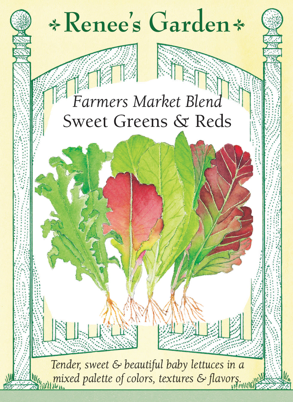 Visuel officiel de Renee's Garden pour les semences « Laitues en mélange Farmer’s Market », référence RN5183. Quatre laitues composent ce mélange à parts égales : ‘Little Gem’, ‘Tango’, ‘Outredgeous’ et ‘Cimarron’. Il réunit des feuilles vert lime frisées, des petites romaines et des feuillages rouges ou bourgogne. Le semencier recommande des récoltes de jeunes feuilles. Les différences de port et de couleur permettent de composer une salade variée à partir d’un seul semis.