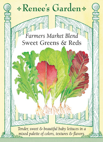 Visuel officiel de Renee's Garden pour les semences « Laitues en mélange Farmer’s Market », référence RN5183. Quatre laitues composent ce mélange à parts égales : ‘Little Gem’, ‘Tango’, ‘Outredgeous’ et ‘Cimarron’. Il réunit des feuilles vert lime frisées, des petites romaines et des feuillages rouges ou bourgogne. Le semencier recommande des récoltes de jeunes feuilles. Les différences de port et de couleur permettent de composer une salade variée à partir d’un seul semis.
