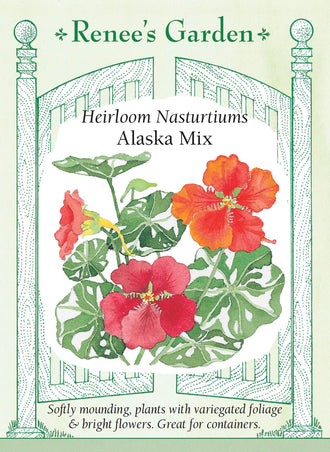 Visuel officiel de Renee's Garden associé aux semences de Capucines en mélange Alaska, référence RN5188. Ce mélange se distingue par des feuilles panachées de crème et de vert. Les fleurs présentent des tons dorés, orange, acajou et saumon. Le semencier décrit un port compact et arrondi. Les plants conviennent aux bordures, aux jardinières et aux contenants où le feuillage panaché reste bien visible.