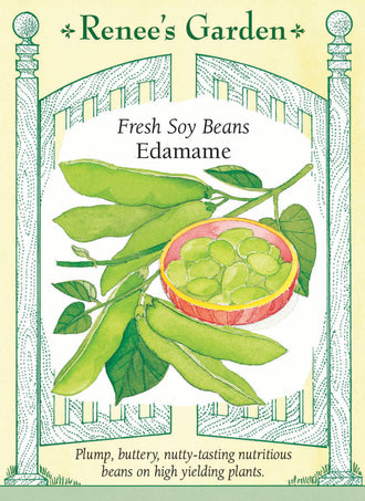 Visuel officiel de Renee's Garden pour les semences « Soya edamame », référence RN5198. Ce soya se cultive pour ses grains encore frais, récoltés avant le séchage complet. Les plants buissonnants atteignent environ 60 cm (2 pi) et portent des gousses vertes de 8 à 9 cm (3 à 3,5 po), renfermant généralement trois ou quatre grains selon le semencier. Les grains doivent être cuits avant consommation. Leur saveur douce, rappelant la noisette, convient aux collations et aux plats de légumes.