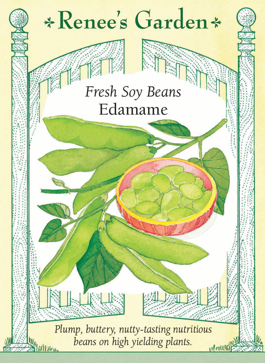 Visuel officiel de Renee's Garden pour les semences « Soya edamame », référence RN5198. Ce soya se cultive pour ses grains encore frais, récoltés avant le séchage complet. Les plants buissonnants atteignent environ 60 cm (2 pi) et portent des gousses vertes de 8 à 9 cm (3 à 3,5 po), renfermant généralement trois ou quatre grains selon le semencier. Les grains doivent être cuits avant consommation. Leur saveur douce, rappelant la noisette, convient aux collations et aux plats de légumes.