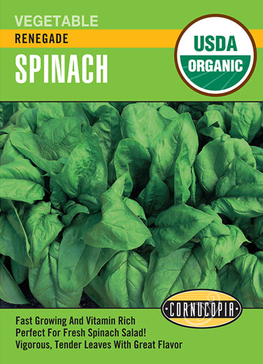Visuel officiel de Cornucopia associé aux semences d’Épinard ‘Renegade’, référence CS519. Cette référence propose la variété d’épinard Renegade. Les feuilles se récoltent pendant les périodes fraîches, lorsqu’elles conservent une texture tendre. Cette image accompagne la fiche de cette sélection et permet de repérer le produit correspondant dans le catalogue de semences.