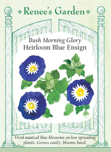 Visuel officiel de Renee's Garden associé aux semences de Belle-de-jour ‘Blue Ensign’, référence RN5205. Cette sélection de Convolvulus tricolor porte des fleurs bleues d’environ 5 cm (2 po), à gorge blanche et centre jaune. Le port est buissonnant et ne correspond pas à celui d’une grande ipomée grimpante. Le semencier la propose pour les massifs et les bordures ensoleillés.