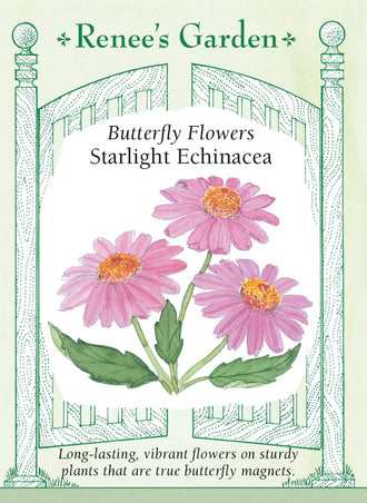 Visuel officiel de Renee's Garden associé aux semences d’échinacée ‘Starlight’, référence RN5220. Cette échinacée atteint environ 60 à 90 cm (2 à 3 pi). Les fleurs de 8 cm (3 po) présentent des pétales rose carmin, presque horizontaux, autour d’un cône orange brun. Le semencier souligne son intérêt estival au jardin. La sélection est présentée ici pour ses qualités ornementales.