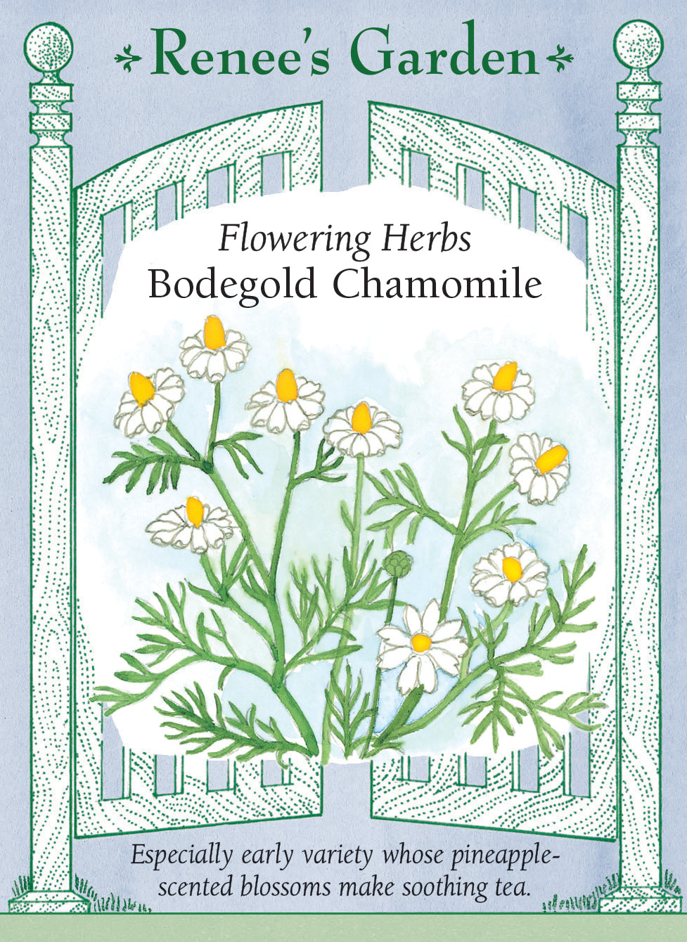 Visuel officiel de Renee's Garden associé aux semences de Camomille ‘Bodegold’, référence RN5225. Cette sélection allemande produit de nombreuses petites fleurs à pétales blancs et à cœur doré. Le semencier souligne une floraison précoce et un parfum rappelant l’ananas. Les capitules peuvent être récoltés et séchés pour des infusions. Cette image accompagne la fiche de cette sélection et permet de repérer le produit correspondant dans le catalogue de semences.