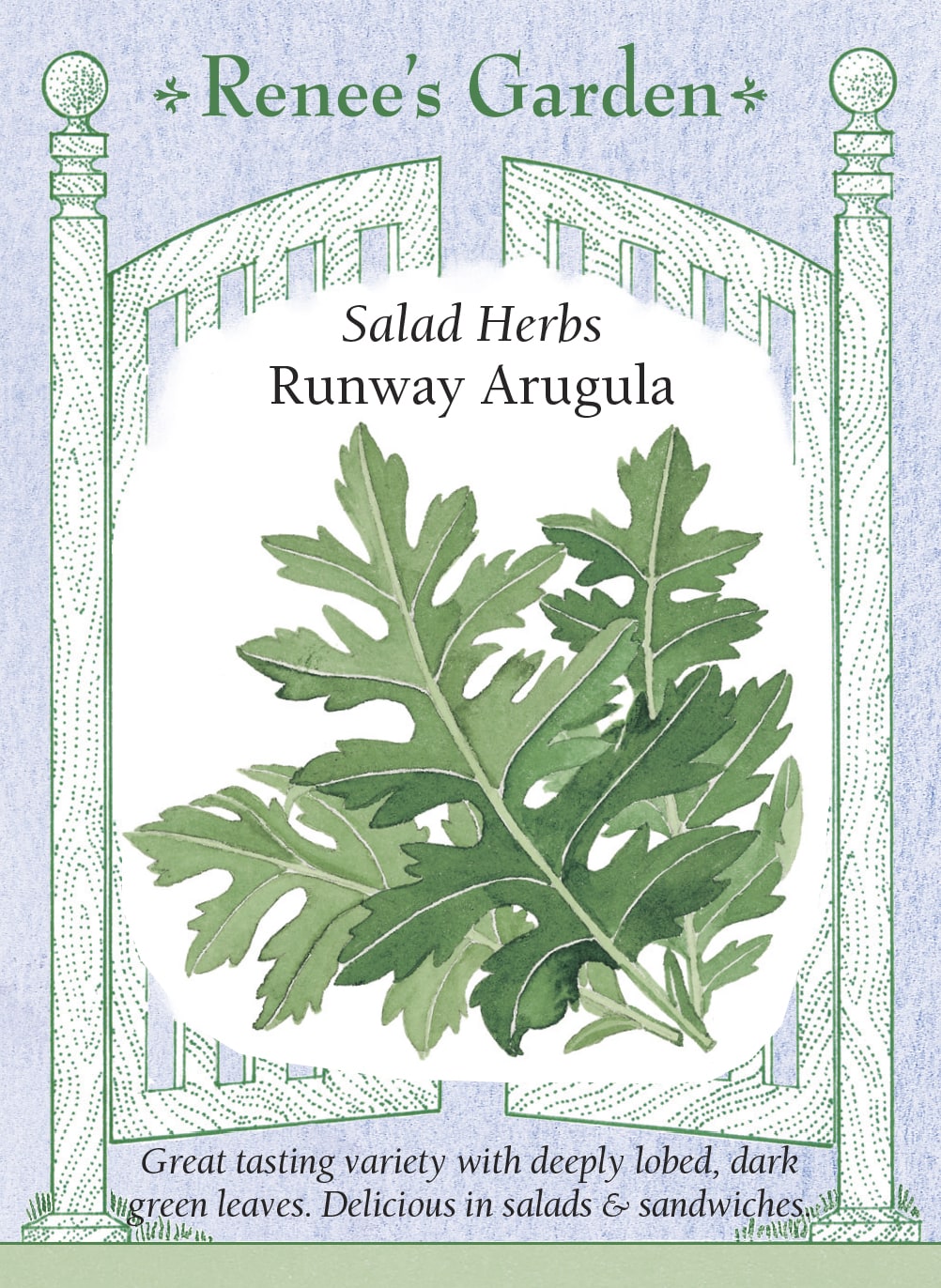 Visuel officiel de Renee's Garden pour les semences « Roquette ‘Runway’ », référence RN5228. Cette sélection de roquette cultivée se distingue par des feuilles profondément découpées, rappelant une feuille de chêne. Le semencier décrit une saveur poivrée légèrement moins forte que celle d’une roquette courante. Les feuilles se prêtent aux salades et aux garnitures fraîches. Le degré de saveur dépend aussi du stade de récolte.