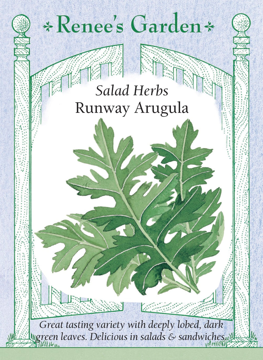 Visuel officiel de Renee's Garden pour les semences « Roquette ‘Runway’ », référence RN5228. Cette sélection de roquette cultivée se distingue par des feuilles profondément découpées, rappelant une feuille de chêne. Le semencier décrit une saveur poivrée légèrement moins forte que celle d’une roquette courante. Les feuilles se prêtent aux salades et aux garnitures fraîches. Le degré de saveur dépend aussi du stade de récolte.