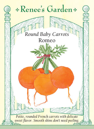 Visuel officiel de Renee's Garden pour les semences « Carotte ‘Romeo’ », référence RN5238. ‘Romeo’ forme de petites carottes rondes, à peau lisse et à chair orange. Leur forme courte convient à des contenants qui ne permettraient pas le développement de longues racines. Le semencier souligne une saveur douce et une texture croquante. Ces petites carottes se récoltent pour leur calibre miniature et peuvent être utilisées entières après un nettoyage soigneux.