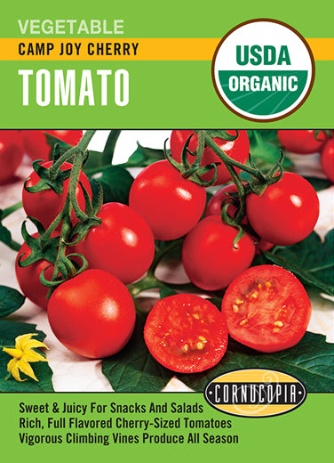 Visuel officiel de Cornucopia associé aux semences de Tomate cerise ‘Camp Joy’, référence CS523. Cette référence propose la tomate cerise Camp Joy. Les petits fruits se récoltent au fur et à mesure de leur maturité pour la consommation fraîche. Cette image accompagne la fiche de cette sélection et permet de repérer le produit correspondant dans le catalogue de semences.