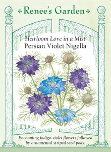 Visuel officiel de Renee's Garden associé aux semences de Nigelle ‘Persian Violet’, référence RN5242. Les fleurs s’ouvrent blanches avec une bordure bleu ciel, puis deviennent violet indigo. Elles sont accompagnées d’un feuillage finement découpé. Les capsules striées qui suivent la floraison peuvent être séchées; les fleurs et les capsules servent aussi aux bouquets.
