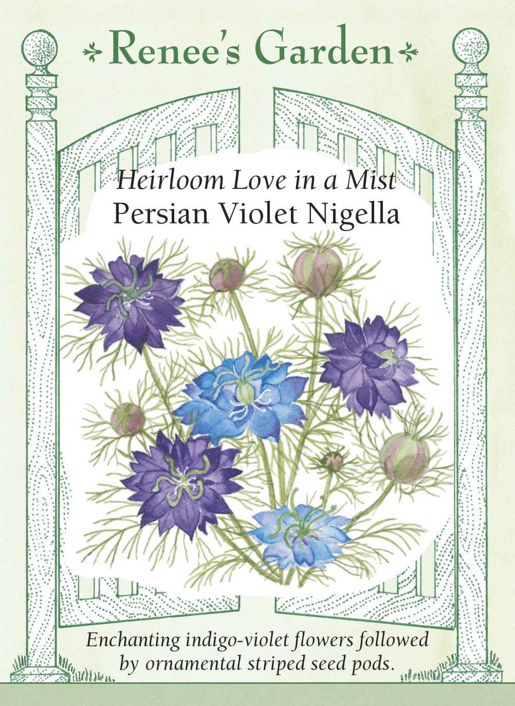 Visuel officiel de Renee's Garden associé aux semences de Nigelle ‘Persian Violet’, référence RN5242. Les fleurs s’ouvrent blanches avec une bordure bleu ciel, puis deviennent violet indigo. Elles sont accompagnées d’un feuillage finement découpé. Les capsules striées qui suivent la floraison peuvent être séchées; les fleurs et les capsules servent aussi aux bouquets.
