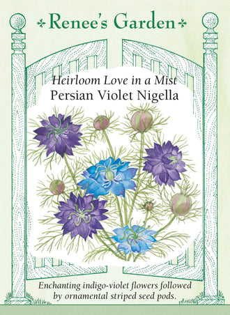 Visuel officiel de Renee's Garden associé aux semences de Nigelle ‘Persian Violet’, référence RN5242. Les fleurs s’ouvrent blanches avec une bordure bleu ciel, puis deviennent violet indigo. Elles sont accompagnées d’un feuillage finement découpé. Les capsules striées qui suivent la floraison peuvent être séchées; les fleurs et les capsules servent aussi aux bouquets.