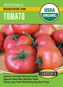 Visuel officiel de Cornucopia associé aux semences de Tomate ‘Brandywine Pink’, référence CS524. Cette référence propose la variété de tomate Brandywine Pink. Elle se cultive pendant la saison chaude pour la récolte de fruits destinés à la cuisine et à la consommation fraîche. Cette image accompagne la fiche de cette sélection et permet de repérer le produit correspondant dans le catalogue de semences.