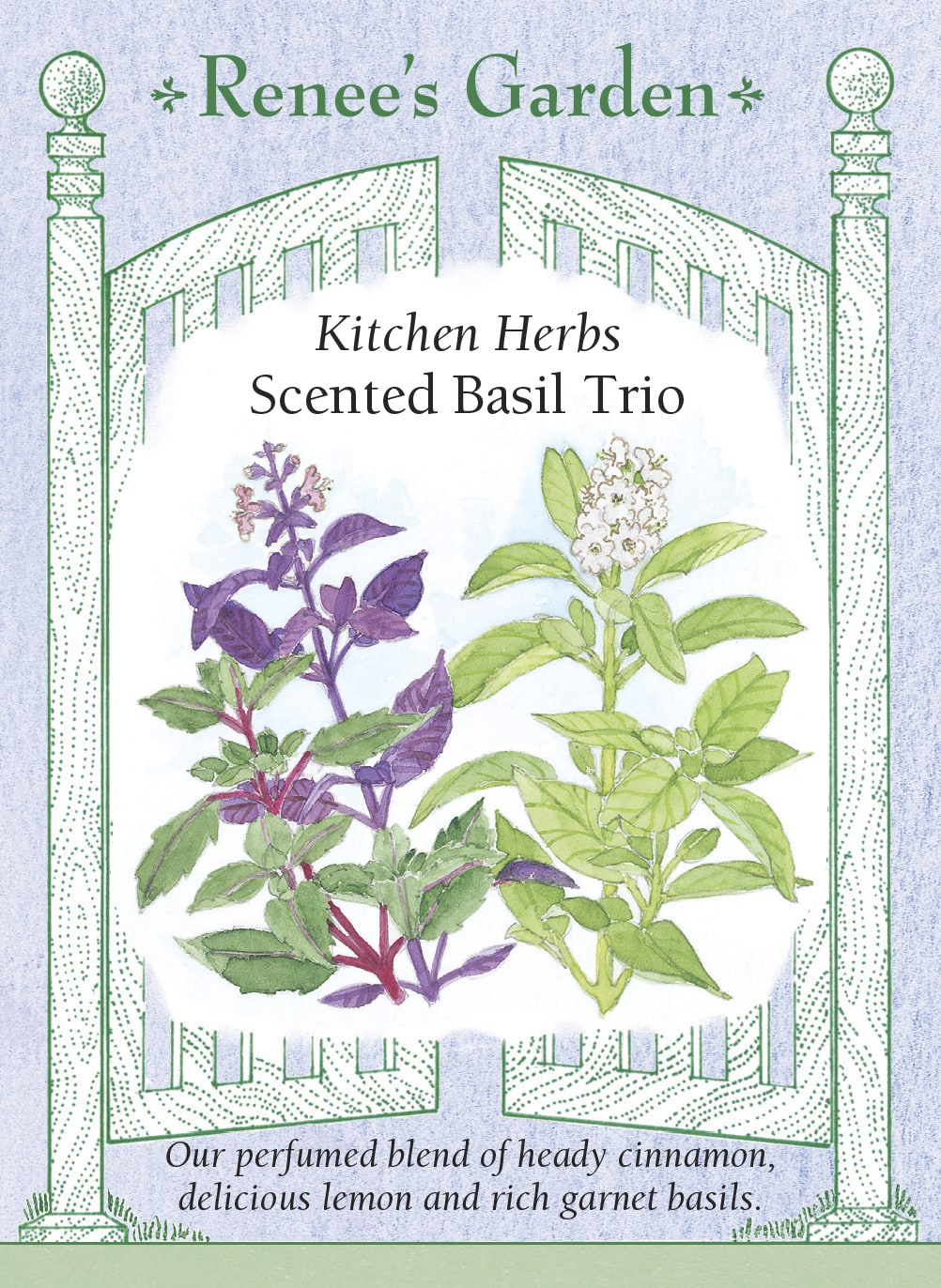 Visuel officiel de Renee's Garden pour les semences « Basilics en mélange Scented Trio », référence RN5254. Ce mélange associe un basilic cannelle, ‘Red Rubin’ et ‘Mrs. Burns’ Lemon’. Il réunit ainsi des feuillages verts ou pourpres et des parfums épicés ou citronnés. Le semencier le propose pour les plates-bandes de fines herbes et la cuisine. Les trois types gardent leurs différences d’apparence et d’arôme.