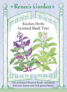 Visuel officiel de Renee's Garden pour les semences « Basilics en mélange Scented Trio », référence RN5254. Ce mélange associe un basilic cannelle, ‘Red Rubin’ et ‘Mrs. Burns’ Lemon’. Il réunit ainsi des feuillages verts ou pourpres et des parfums épicés ou citronnés. Le semencier le propose pour les plates-bandes de fines herbes et la cuisine. Les trois types gardent leurs différences d’apparence et d’arôme.
