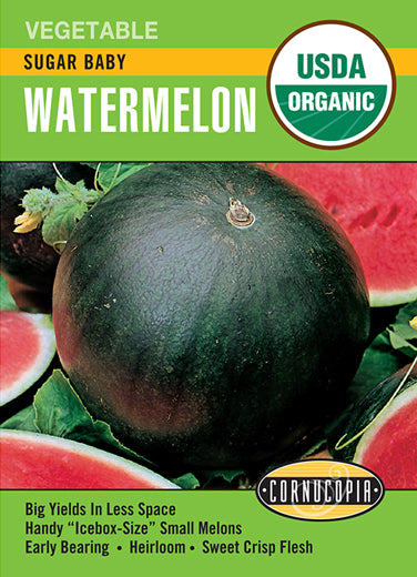 Visuel officiel de Cornucopia associé aux semences de Melon d’eau ‘Sugar Baby’, référence CS525. Les plantes compactes produisent des fruits d’environ 15 à 20 cm (6 à 8 po), pouvant atteindre environ 4,5 kg (10 lb). Cette sélection convient aux espaces plus restreints. Le semencier annonce une maturité autour de 73 jours.