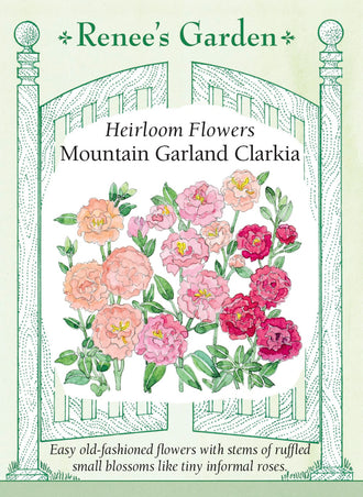 Visuel officiel de Renee's Garden associé aux semences de Clarkias en mélange Mountain Garland, référence RN5283. Ce mélange développe des tiges de 60 à 90 cm (2 à 3 pi), garnies de petites fleurs doubles ou froufroutantes. Les couleurs comprennent le corail, le saumon, le rose, le lilas et le blanc. Le semencier le propose pour les jardins champêtres et les bouquets souples.