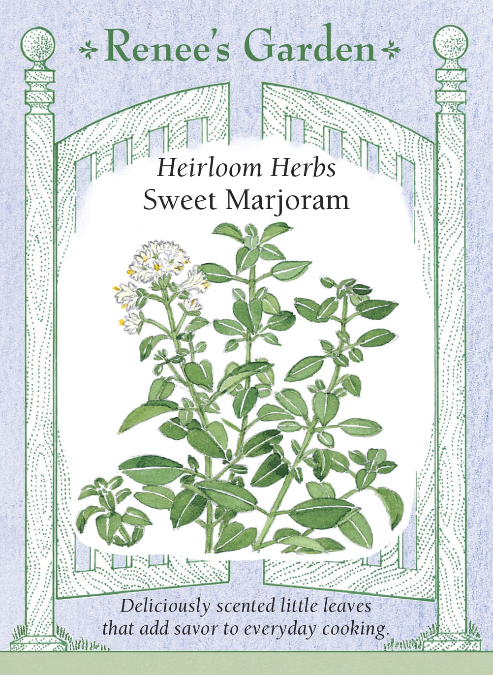 Visuel officiel de Renee's Garden associé aux semences de Marjolaine douce, référence RN5285. Cette herbe aromatique appartient à Origanum majorana. Le semencier décrit un parfum plus doux que celui de l’origan, adapté aux plats d’œufs, de légumes et de légumineuses. Les feuilles se récoltent fraîches pour profiter de leur arôme. La marjolaine peut aussi entrer dans les mélanges culinaires de fines herbes.