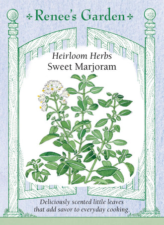 Visuel officiel de Renee's Garden associé aux semences de Marjolaine douce, référence RN5285. Cette herbe aromatique appartient à Origanum majorana. Le semencier décrit un parfum plus doux que celui de l’origan, adapté aux plats d’œufs, de légumes et de légumineuses. Les feuilles se récoltent fraîches pour profiter de leur arôme. La marjolaine peut aussi entrer dans les mélanges culinaires de fines herbes.