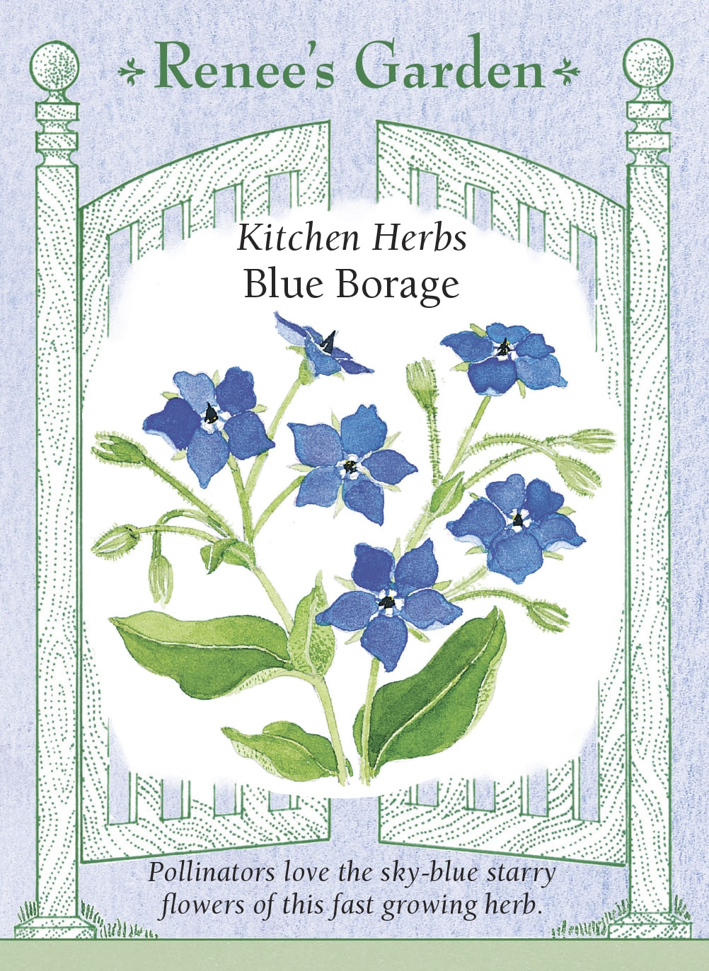 Visuel officiel de Renee's Garden pour les semences « Bourrache », référence RN5286. Cette bourrache porte des fleurs bleues en forme d’étoile et un feuillage velu vert argenté. Le semencier annonce des plants d’environ 60 à 90 cm (2 à 3 pi). Les fleurs sont proposées comme garniture à saveur légère de concombre. La plante peut se ressemer facilement si les graines arrivent à maturité.