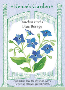 Visuel officiel de Renee's Garden pour les semences « Bourrache », référence RN5286. Cette bourrache porte des fleurs bleues en forme d’étoile et un feuillage velu vert argenté. Le semencier annonce des plants d’environ 60 à 90 cm (2 à 3 pi). Les fleurs sont proposées comme garniture à saveur légère de concombre. La plante peut se ressemer facilement si les graines arrivent à maturité.