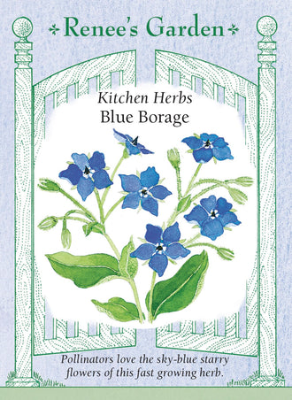 Visuel officiel de Renee's Garden pour les semences « Bourrache », référence RN5286. Cette bourrache porte des fleurs bleues en forme d’étoile et un feuillage velu vert argenté. Le semencier annonce des plants d’environ 60 à 90 cm (2 à 3 pi). Les fleurs sont proposées comme garniture à saveur légère de concombre. La plante peut se ressemer facilement si les graines arrivent à maturité.