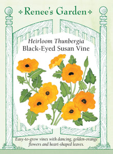 Visuel officiel de Renee's Garden associé aux semences de Suzanne aux yeux noirs, référence RN5287. Les fleurs orange et jaunes possèdent un centre foncé contrastant et mesurent environ 4 cm (1½ po). Les tiges grimpantes portent des feuilles en cœur. Elles peuvent garnir un petit treillis ou retomber d’un panier suspendu.