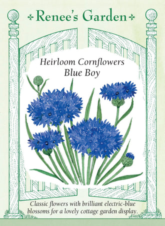 Visuel officiel de Renee's Garden associé aux semences de Centaurée ‘Blue Boy’, référence RN5288. Cette centaurée porte des fleurs bleu vif d’environ 4 cm (1,5 po), dont les pétales découpés rappellent une petite tête de chardon. Le semencier souligne son intérêt dans les jardins champêtres et les bouquets. Le bleu soutenu se détache parmi les feuillages et les autres fleurs printanières.