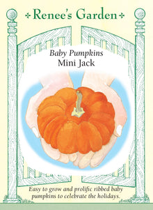 Visuel officiel de Renee's Garden pour les semences « Citrouille ‘Mini Jack’ », référence RN5289. ‘Mini Jack’ produit de petits fruits orange, fortement côtelés, d’environ 8 à 10 cm (3 à 4 po). Le semencier décrit une maturité plus précoce que celle de grosses citrouilles. Les fruits peuvent être utilisés en décoration ou cuits entiers pour de petites portions. Leur petit calibre ne signifie pas que les tiges occupent peu d’espace.