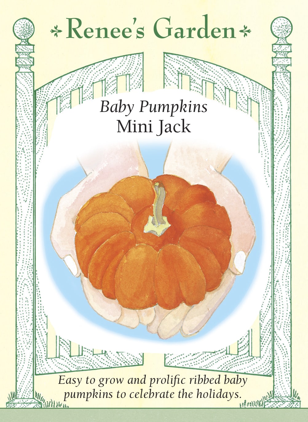 Visuel officiel de Renee's Garden pour les semences « Citrouille ‘Mini Jack’ », référence RN5289. ‘Mini Jack’ produit de petits fruits orange, fortement côtelés, d’environ 8 à 10 cm (3 à 4 po). Le semencier décrit une maturité plus précoce que celle de grosses citrouilles. Les fruits peuvent être utilisés en décoration ou cuits entiers pour de petites portions. Leur petit calibre ne signifie pas que les tiges occupent peu d’espace.