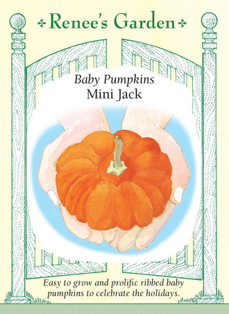 Visuel officiel de Renee's Garden pour les semences « Citrouille ‘Mini Jack’ », référence RN5289. ‘Mini Jack’ produit de petits fruits orange, fortement côtelés, d’environ 8 à 10 cm (3 à 4 po). Le semencier décrit une maturité plus précoce que celle de grosses citrouilles. Les fruits peuvent être utilisés en décoration ou cuits entiers pour de petites portions. Leur petit calibre ne signifie pas que les tiges occupent peu d’espace.