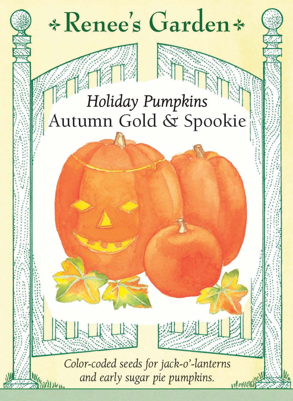 Visuel officiel de Renee's Garden pour les semences « Citrouilles en mélange Autumn Gold et Spookie », référence RN5290. Ce mélange réunit ‘Autumn Gold’, dont les fruits atteignent environ 6,8 à 10 kg (15 à 22 lb), et ‘Spookie’, autour de 2,3 à 2,7 kg (5 à 6 lb). Le semencier distingue les graines vertes d’‘Autumn Gold’ des graines non colorées de ‘Spookie’. Les calibres conviennent à différents usages décoratifs et culinaires.