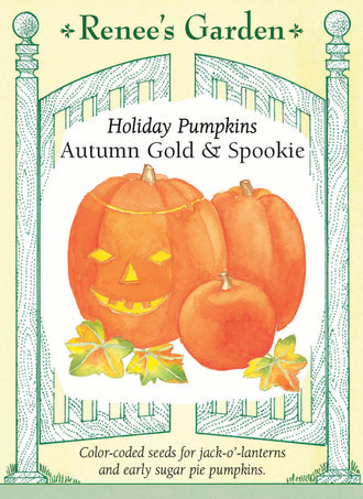 Visuel officiel de Renee's Garden pour les semences « Citrouilles en mélange Autumn Gold et Spookie », référence RN5290. Ce mélange réunit ‘Autumn Gold’, dont les fruits atteignent environ 6,8 à 10 kg (15 à 22 lb), et ‘Spookie’, autour de 2,3 à 2,7 kg (5 à 6 lb). Le semencier distingue les graines vertes d’‘Autumn Gold’ des graines non colorées de ‘Spookie’. Les calibres conviennent à différents usages décoratifs et culinaires.