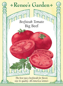 Visuel officiel de Renee's Garden pour les semences « Tomate ‘Big Beef’ », référence RN5291. Cet hybride à croissance indéterminée porte de grosses tomates rondes d’environ 280 à 340 g (10 à 12 oz). Le semencier décrit une chair douce, juteuse et abondante. Le calibre convient aux tranches pour les sandwichs et les salades. Les fruits lourds et les tiges vigoureuses demandent un support suffisamment solide.