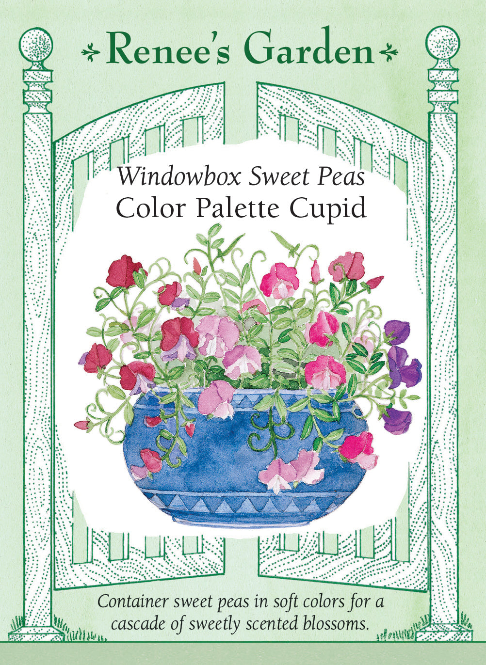 Visuel officiel de Renee's Garden associé aux semences de Pois de senteur nains en mélange Color Palette Cupid, référence RN5293. Les plantes mesurent environ 20 à 25 cm (8 à 10 po) avant de retomber souplement. Le mélange comprend des fleurs rose et blanc, lavande, rose tendre et pourpre. Les fleurs parfumées conviennent aux jardinières et aux petits contenants extérieurs.