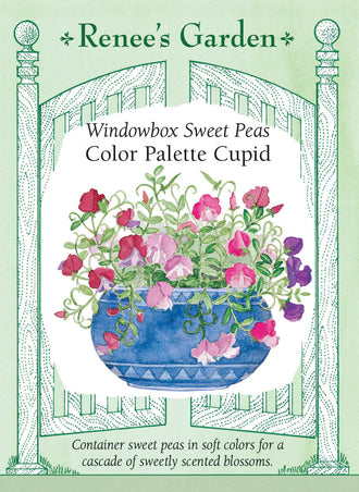 Visuel officiel de Renee's Garden associé aux semences de Pois de senteur nains en mélange Color Palette Cupid, référence RN5293. Les plantes mesurent environ 20 à 25 cm (8 à 10 po) avant de retomber souplement. Le mélange comprend des fleurs rose et blanc, lavande, rose tendre et pourpre. Les fleurs parfumées conviennent aux jardinières et aux petits contenants extérieurs.