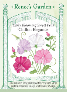 Visuel officiel de Renee's Garden associé aux semences de Pois de senteur en mélange Chiffon Elegance, référence RN5296. Ce mélange précoce comprend des fleurs blanches, rose magenta, rose coquillage et lavande. Les grandes fleurs ondulées sont légèrement parfumées et portées sur de longues tiges. Les plantes grimpantes conviennent aux supports et à la production de fleurs coupées.