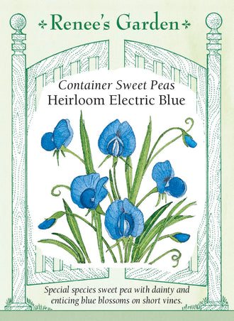 Visuel officiel de Renee's Garden associé aux semences de Gesse ‘Electric Blue’, référence RN5299. Les petites fleurs bleu vif, parfois marquées de rose dans la gorge, apparaissent parmi un feuillage fin et des vrilles. Cette gesse ornementale atteint environ 90 à 120 cm (3 à 4 pi). Elle peut garnir un petit treillis ou retomber d’un contenant.