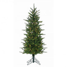 Sapin Beirut