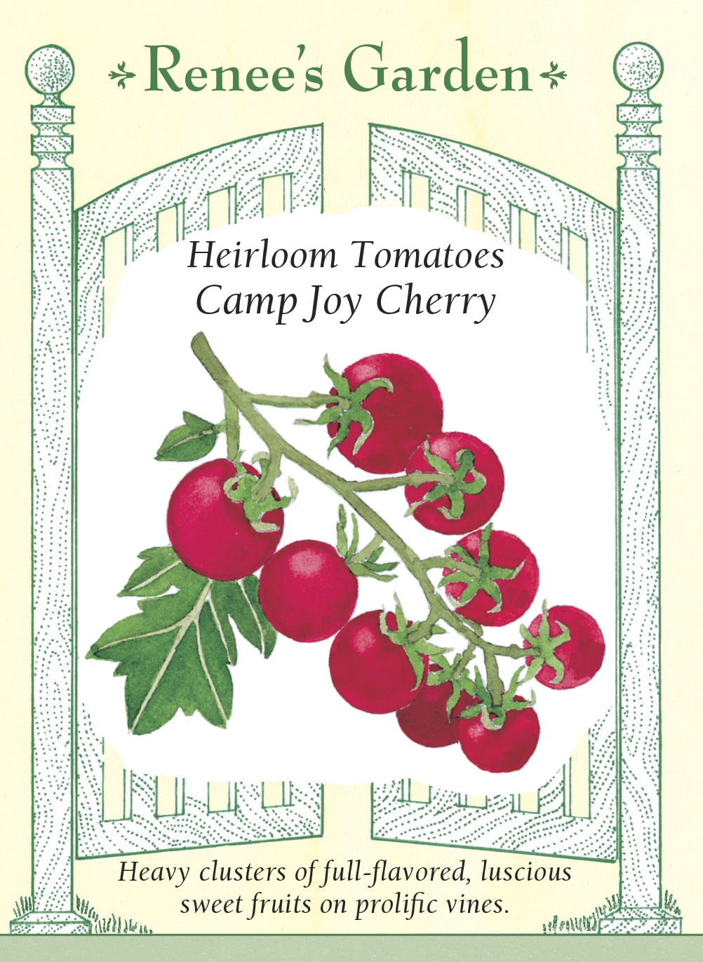 Visuel officiel de Renee's Garden pour les semences « Tomate cerise ‘Camp Joy’ », référence RN5302. Cette tomate porte de grosses grappes de fruits rouges de type cerise. Le semencier décrit une saveur de tomate bien développée, au-delà de la seule douceur. Les tiges sont vigoureuses et doivent être accompagnées pendant leur croissance. Les fruits se prêtent aux collations et aux salades fraîches.